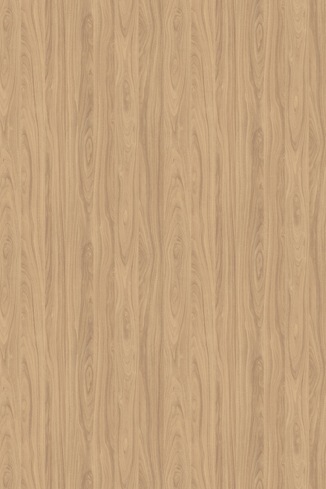 TerraLine Birch - TQ CABINETRY