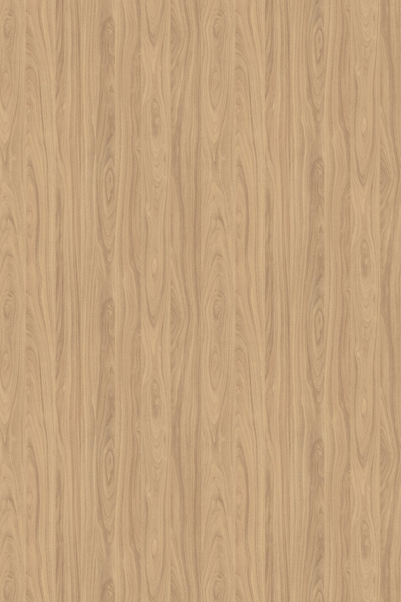 Birch Door Only - TQ CABINETRY