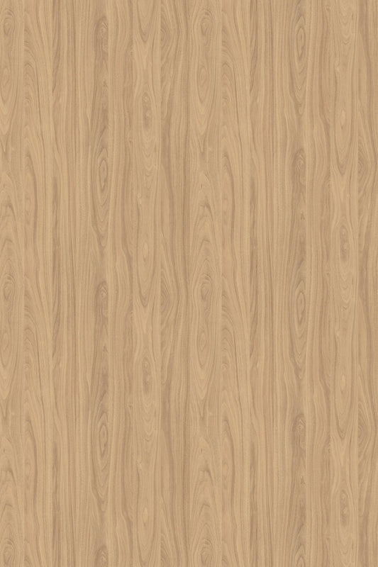 Birch Door Only - TQ CABINETRY