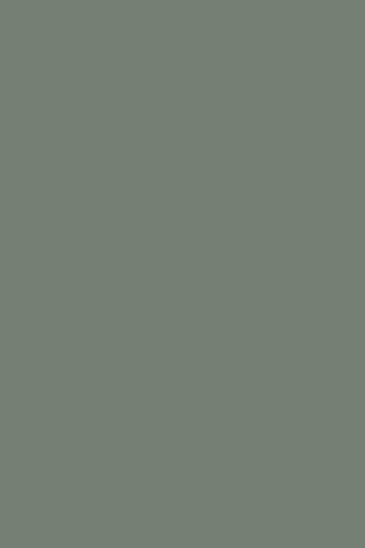 Sage Green Door Only - TQ CABINETRY