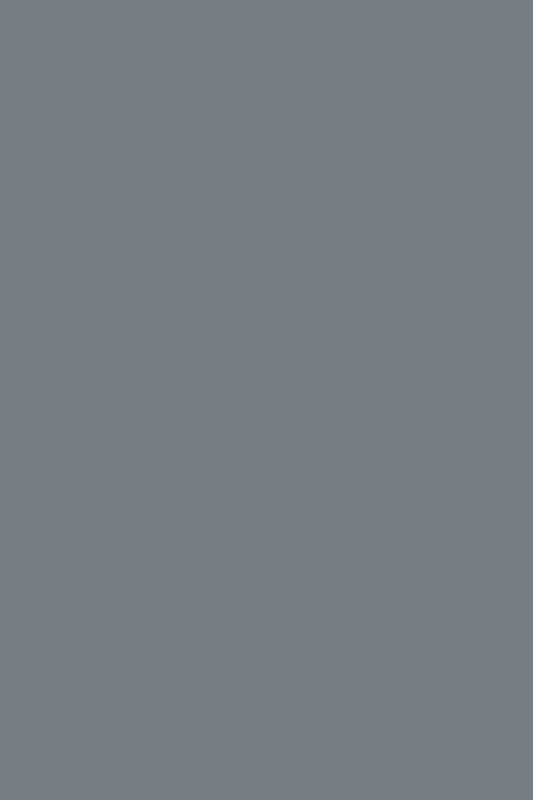 Slate Gray Door Only - TQ CABINETRY